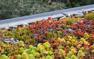 the cost of Frostenden Corner green roof installation