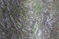 Frostenden Corner fibreglass roof work