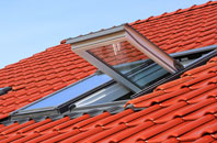 Frostenden Corner roof window